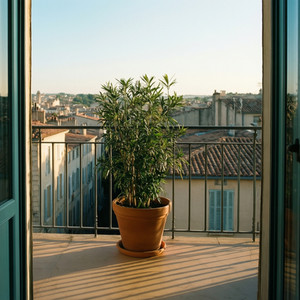 Montpellier Pet Sitting Focus