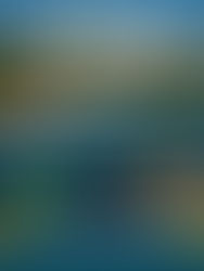 PQT Traslados + Hotel todo incluido Dreams Huatulco