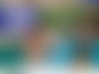 Hotel Melia Puerto Vallarta