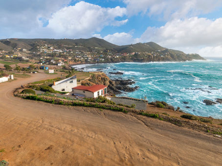 Experiencia "Viñedos y Playa en breve en Baja California"