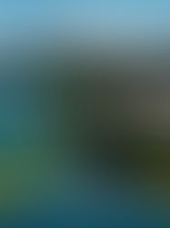 PQT Traslados + Hotel todo incluido Las Brisas Huatulco