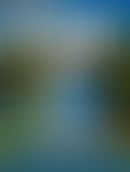 PQT Traslados + Hotel todo incluido Castillo Huatulco 