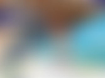 Hotel Paradisus Cancún