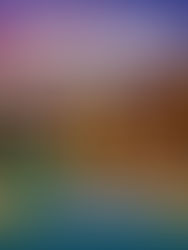 PQT Traslados + Hotel todo incluido Binniguenda Huatulco