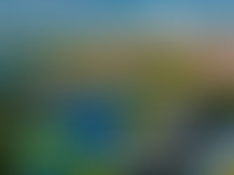 PQT Traslados + Hotel todo incluido Barceló Huatulco