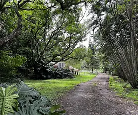 La Garita, Alajuela 02 P