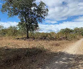 Proyecto La Ponderosa Bagaces, Guanacaste 02 P