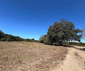 Proyecto La Ponderosa, Bagaces 02 P
