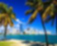 Miami Life Plastic Surgery