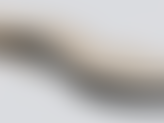 Douleurs aux chevilles: causes, symptômes et solutions...