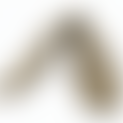 orthésiste : un métier méconnu au cœur de la santé du mouvement spécialisé dans les semelles orthopédiques