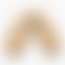 orthésiste : un métier méconnu au cœur de la santé du mouvement spécialisé dans les semelles orthopédiques