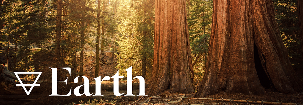 Earth Practitioner and Teacher Header