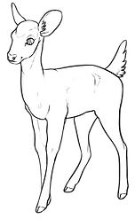 aa.png