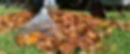 checklists_header.jpg