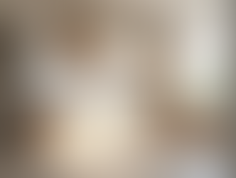 Ultimate Remodeling Timelines for Berks County Homeowners: Kitchen, Bathroom, and Basement