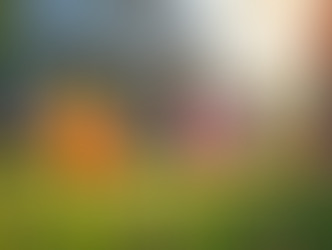 Spring Home Preparation Tips for Berks County Residents