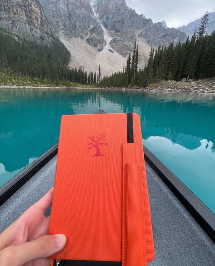 Thumbnail: YOLA ORANGE BURCH BOOK