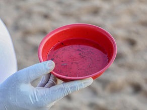 Agentes de endemias retomam visitação a domicílio em Salvador