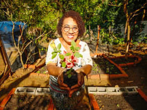 Da terra para a mesa: Horta em Casa incentiva cultivo de alimentos orgânicos
