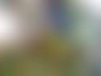 Semob monta operação de transporte para o 2 de Julho