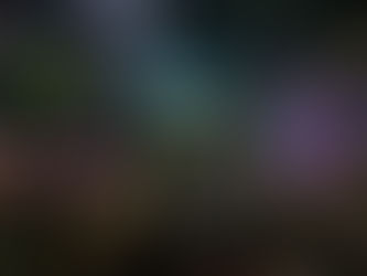 Repercussão__Pipoca do MUDEI arrasta multidão e abre o Carnaval no Campo Grande