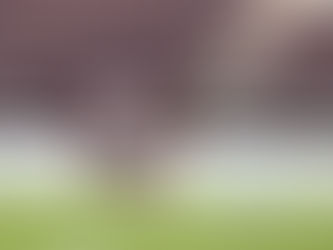 Série D: Ferroviária-SP recebe Athletic Club-MG em jogo de ida da semi