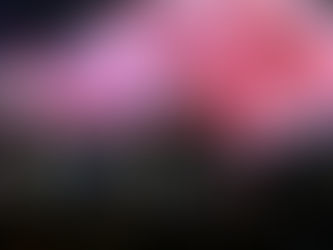 Temos que garantir que mulher ganhe o mesmo que homem, diz Lula