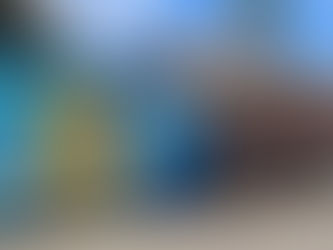 Operação em Piatã conscientiza população sobre adoção de animais