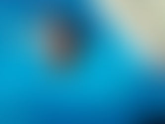 Entidades desportivas devem proteger crianças e adolescentes