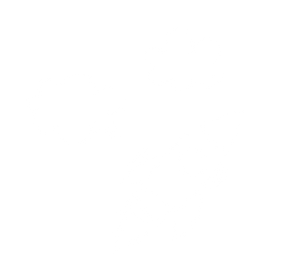 landing-05.png