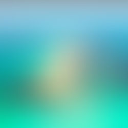 Les Îles Farasan d'Arabie Saoudite