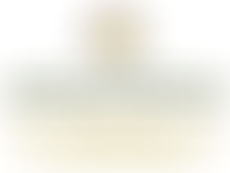 La tenue de cette formation à Nouakchott illustre la volonté de la Coalition de s’attaquer aux racines économiques du terrorisme dans les États du Sahel, tout en consolidant les capacités des acteurs locaux à relever ce défi complexe.