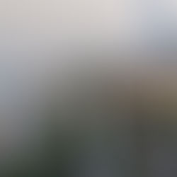 Jeddah, première ville saine d’un million d’habitants au Moyen-Orient