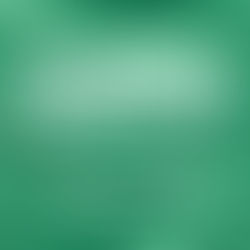 La diplomatie saoudienne, un exemple à suivre