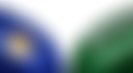 L'Arabie Saoudite offre 25 tonnes de dattes au Kosovo