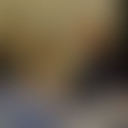 Le Comité ministériel désigné par le Sommet extraordinaire conjoint arabo-islamique pour Gaza condamne et dénonce les raids de l'occupant israélien