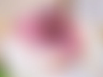 Le Prince Héritier annonce le changement de nom d'une rue principale de Riyadh en l'honneur du défunt Mufti Cheikh Abdulaziz Al-Sheikh