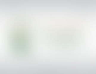 Arrivée du 57ème avion de secours saoudien en aide pour le peuple palestinien dans la bande de Gaza