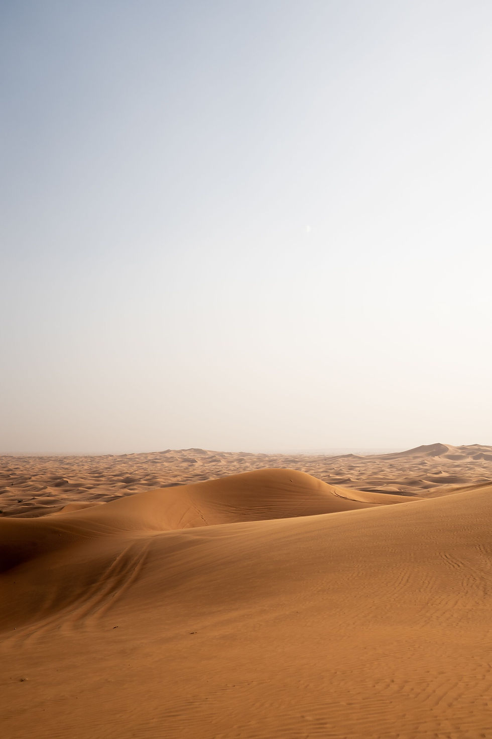 desert