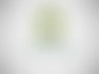 Le Ministère saoudien des Affaires Islamiques organise des repas d’Iftar quotidiens au Mali durant le Ramadan 1446-2025