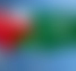 L'Arabie Saoudite salue la déclaration d’Oman sur le cessez-le-feu au Yémen relatif à la sécurité maritime