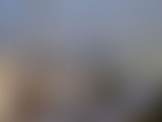 Les pèlerins sont arrivés à Arafat, pilier du pèlerinage