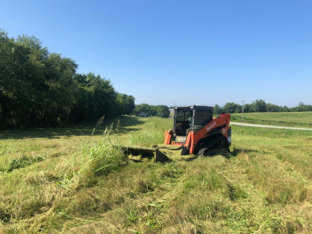 An orange tracked skid steer using a heavy-duty brush cutter attachment to mow down tall grass and thick weeds in an open field in Middle Tennessee.
