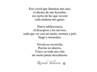 Mi amor por las letras
