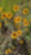PXL_20210629_192842334.jpg