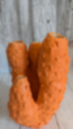 Megan-Ayers_sea_sponge_closeup