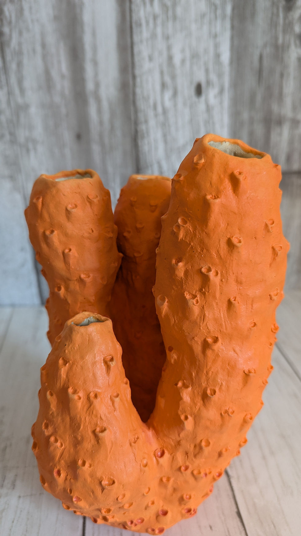 Megan-Ayers_sea_sponge_closeup