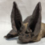 VBE_closeup