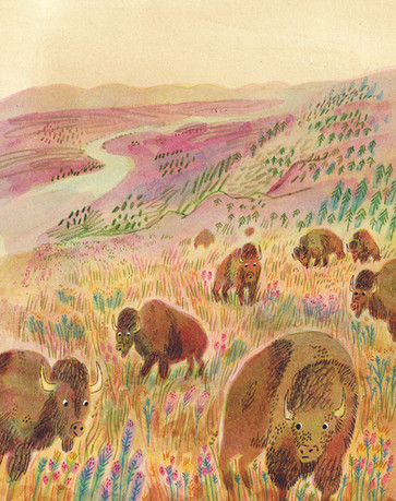 Hand-painted watercolour and acrylic illustration of bison in the Great Plains, Montana, from “Rewild the World at Bedtime” by Children's Illustrator and Author Ella Beech based in Cambridge, UK
